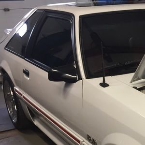 Meet your Posher, Sam